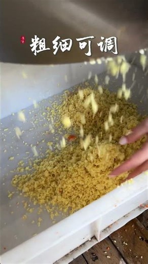 Large Ginger Crushing machine Garlic Crusher Food Crusher