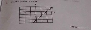Find the gradient of line M.... | Filo