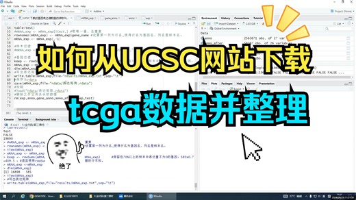 从UCSC网站上下载tcga数据并整理！保姆级教程来啦！