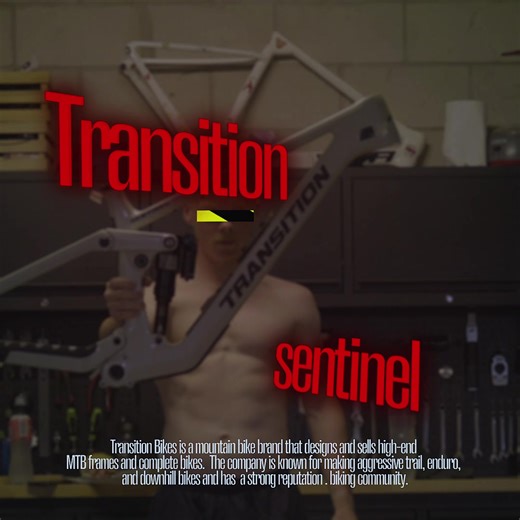 Mastering Video Editing with Shaddy Edits