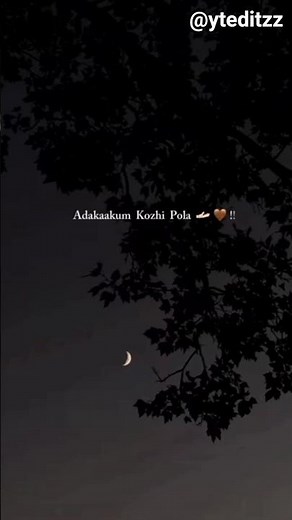 Poraney poraney.....✨ lyrical song 💗 #lyrical #song #yteditz #trending