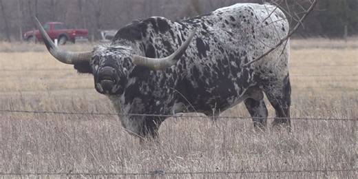 USDA announces new rule: “Product of USA” label will only be allowed on homegrown meat products