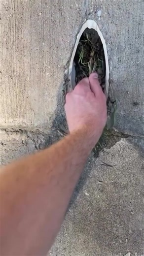 #funny #lol #comedy