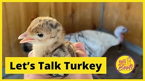 158K views · 10K reactions | Ima Survivor Donkey and Farm Animal Sanctuary on Reels | Facebook