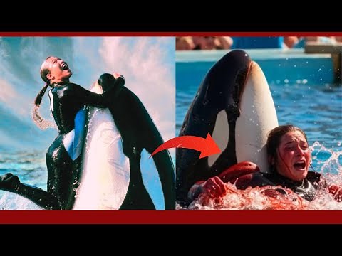 The HORRIFYING Last Moments of Ocar Trainer Jessica Radcliffe