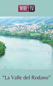 Siamo nell'AOC CORNAS la denominazione più "selvaggia" della Côte du...