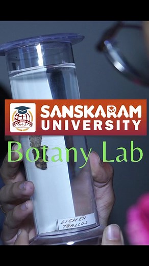 23 reactions | Exploring the wonders of flora at the Sanskaram University Botany Lab – where science meets nature's intricate beauty.#education #universities#india#science | Sanskaram University | Facebook