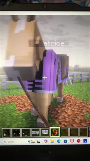 BEATRICE!! #Minecrafthorses #swem #horserp #swemdownloadhelp #swemhorses