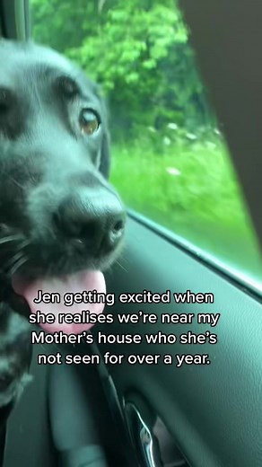 JenTheBlackLab on TikTok