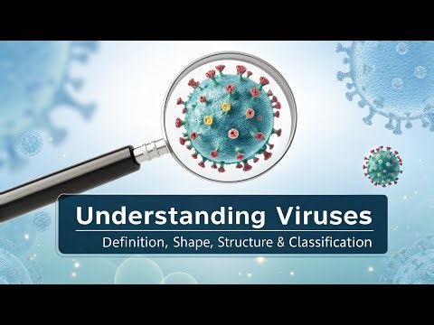 "Understanding Viruses: Definition, Shape, Structure & Classification"