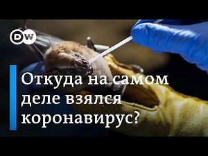 Что на самом деле стало причиной пандемии? Эксперты ВОЗ дали ответ на этот вопрос