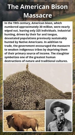 30 Million to 325: The Bison Slaughter