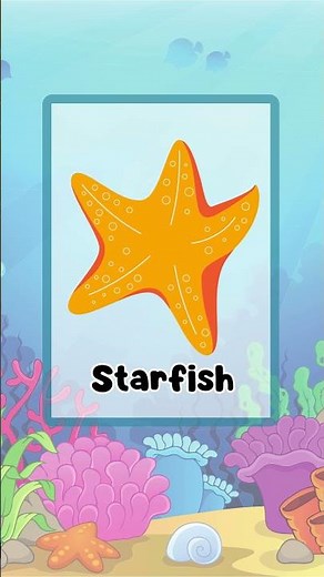 Starfish fun facts for kids to learn!
