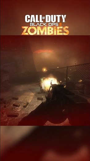 INSANE Custom Mod in COD BO2! 💥 (Perks Mod)