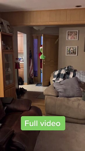 #FullVideo of #TheGrinch scare. Don’t worry, him and the grinch are cool now. #MerryChristmas #TheGrinch #ForYou #FYP #viral #comedy #funny #kids #kidsoftiktok #Christmas #presents #grinchmas #grinchtiktok #grinchchallenge #howthegrinchstolechristmas #stealingchristmas #christmas