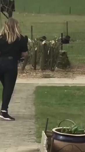 Why are you running? 😂😂