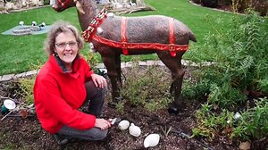 Pruning Salvias: How To Prune 3 Different Types of Salvias