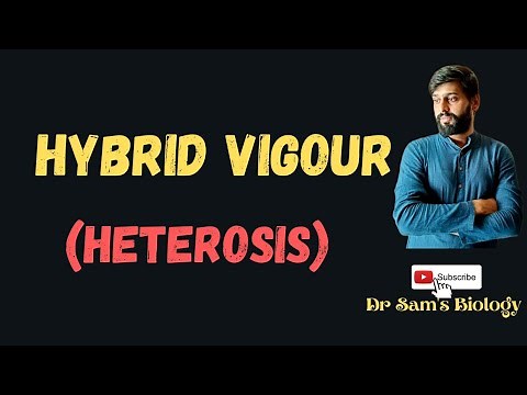 Hybrid Vigour (Heterosis)