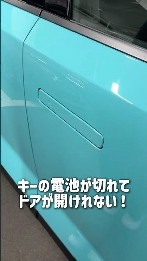 【新型リーフ】手動でドアハンドルを出す方法！