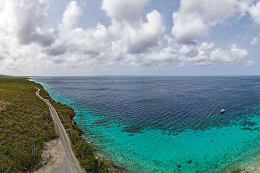 Snorkeling in Bonaire Complete Guide 2026