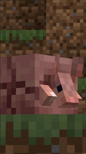 What do armadillos eat on Minecraft?