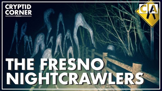 Strange Legs in the Night: The Fresno Nightcrawlers