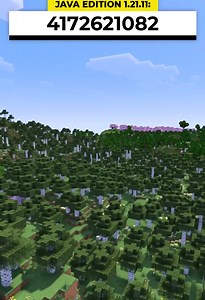 Minecraft seed with nearly every biome near spawn | Exploration-friendly world