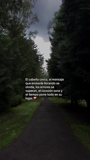 Frases de superación: El cabello crece y el mensaje que enviaste llorando se olvida