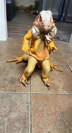 When your iguana from Texas #fyp #funny #pet #ai | iguana