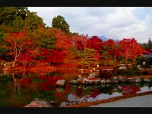 そうだ、京都、行こう～高音質