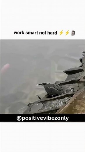 Work Smart, Not Hard: Boost Your Productivity and Efficiency