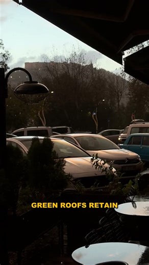 Sponge Cities: Absorbing Floods with Nature