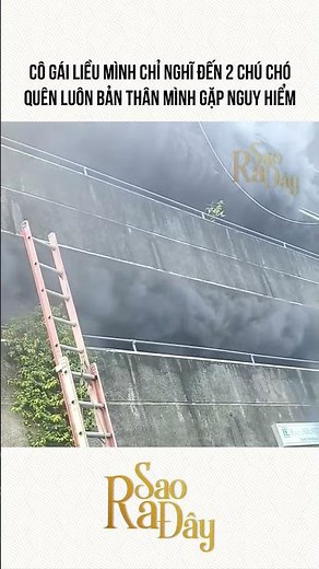 CÔ GÁI LIỀU MÌNH CHỈ NGHĨ ĐẾN 2 CHÚ CHÓ QUÊN LUÔN BẢN THÂN MÌNH GẶP NGUY HIỂM