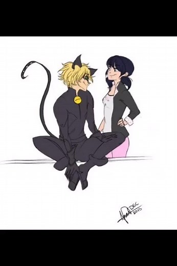 Ladybug and Cat Noir Romantic Moments