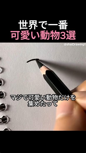 世界で一番可愛い動物3選 #絵 #お絵描き
