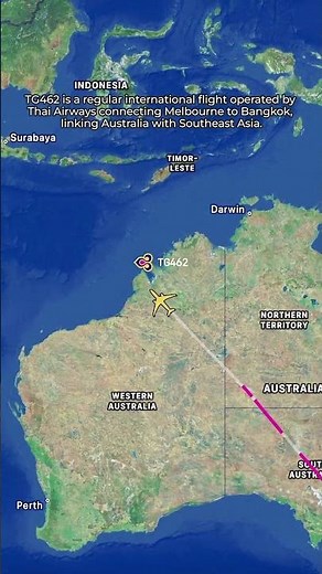 TG 462 MEL to BKK Full Flight Experience | Melbourne to Bangkok ✈️ #ThaiAirways #Aviation #Travel
