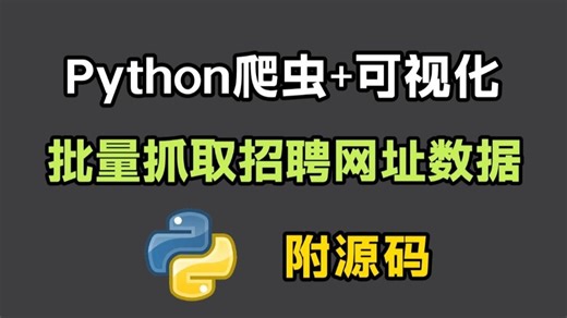 【Python爬虫】用Python代码爬取招聘网站信息并实现数据可视化，附源码，一个完整的Python项目案例讲解！