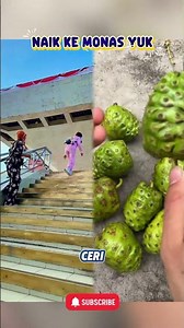 AKU MAU NAIK KE ATAS MONAS | CR NURRAYNI25