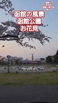 【NOWJAPAN】函館の風景！函館公園の桜、函館公園からの日の出／北海道・函館市