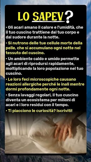 Il Tuo Cuscino Contiene Milioni di Acari