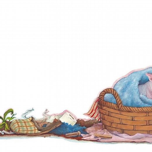 BOOK TRAILER: Diary of a Rescued Wombat by Jackie French, illustrated by Bruce Whatley