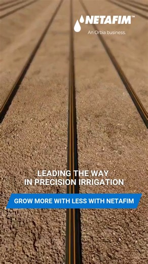1.1K views · 18 reactions | Precision. Efficiency. Quality. Sustainability. Productivity. Growth. With Netafim precision irrigation solutions, you can check all the boxes and grow more with less. Connect with us. #growmorewithless #precisionirrigation #agriculture #netafim #irrigation | Netafim Southern & East Africa | Facebook