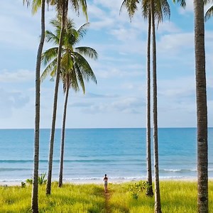 Vietnam, Thailand, Singapore & more. New countries to explore with our inaugural Asia voyages debuting Winter 2025 | The Ritz-Carlton Yacht Collection