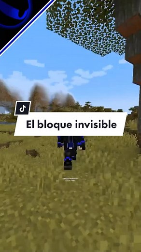Cómo crear bloques invisibles en Minecraft