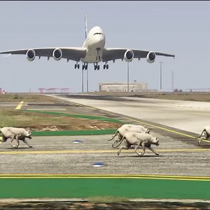 2.6M views · 6.2K reactions | Unforgettable Wildlife Sight Lions Invade Landing and Takeoff - GTA 5 | Mr OP Gaming | Facebook