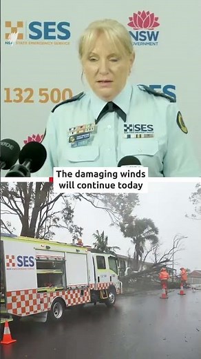 NSW to stay alert as heavy rainfall and damaging winds continue