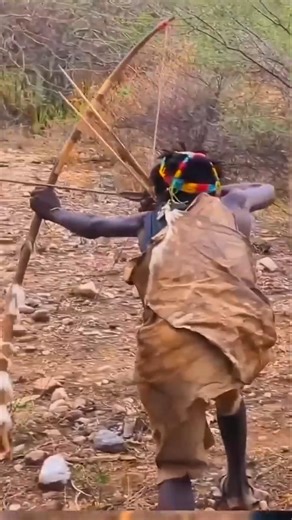 Hunters Read the Signal… Then the Bush Comes Alive | Wildlife Awareness