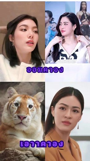 Person Interacts with Tiger in Unique Setting