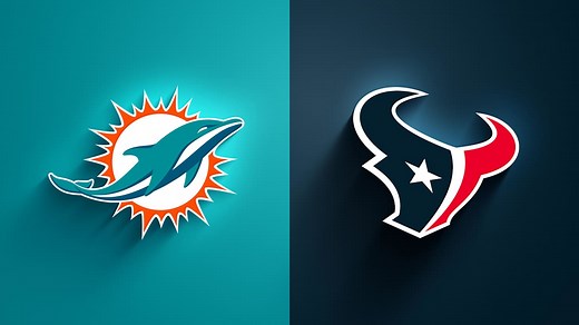 Dolphins vs. Texans highlights | Week 15