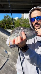 10K views · 356 reactions | Always fun making a homemade aquarium | The Fish Guys | Facebook